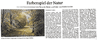 Artikel